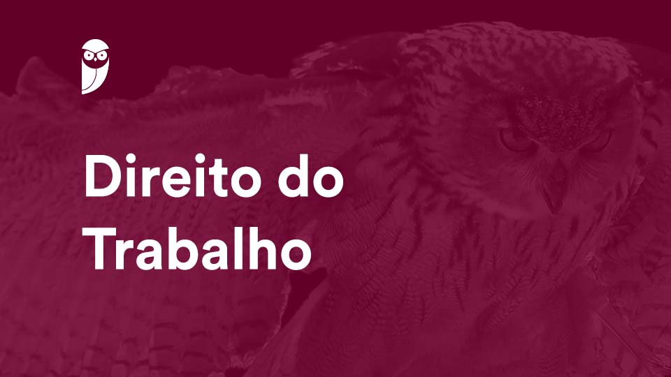 fotografia de uma coruja voando para o horizonte, por cima temos uma cor grená semelhante a do Estratégia OAB, no canto superior esquerdo temos o logo do Estratégia OAB (uma coruja em branco), logo abaixo conseguimos notar escrito "Direito do Trabalho" em branco.